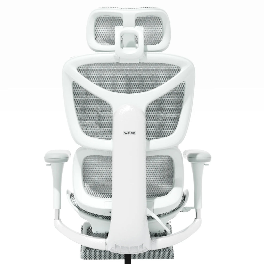 Ergonomic Office Chair